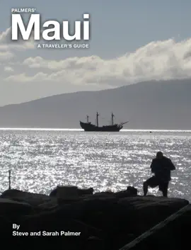 Read: Palmers’ Book Maui