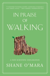 In Praise of Walking by Shane O'Mara