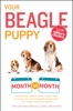 Book Your Beagle Puppy Month by Month