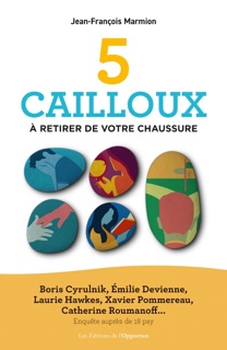 5 cailloux à retirer de votre chaussure by Jean-François Marmion