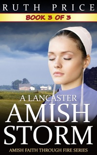 A Lancaster Amish Storm - Book 3 by Ruth Price