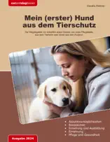 Mein (erster) Hund aus dem Tierschutz