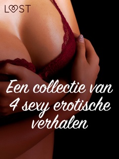 Een collectie van 4 sexy erotische verhalen by Camille Bech, B. J. Hermansson & Lisa Vild