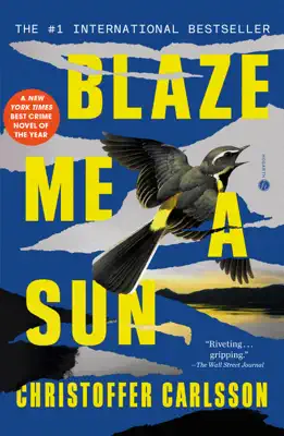 Blaze Me a Sun by Christoffer Carlsson & Rachel Willson-Broyles book