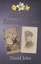 Harriet's Eternal Tears - David John Cover Art