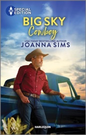 Big Sky Cowboy - Joanna Sims