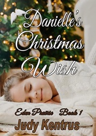 Danielles' Christmas Wish - Judy Kentrus