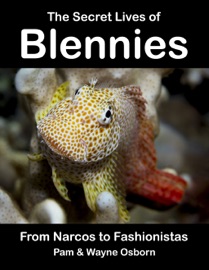 The Secret Lives of Blennies - Wayne Osborn & Pam Osborn