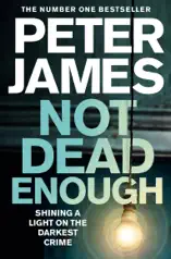 Not Dead Enough: A Roy Grace Novel 3