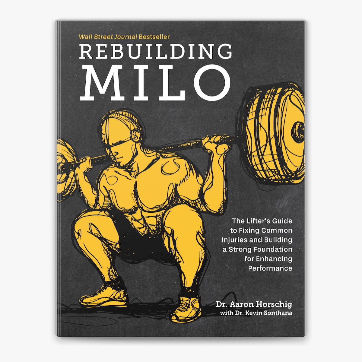 Rebuilding Milo　（マイロの再建）　Aaron Horschig Rebuilding Milo by Aaron Horschig, Kevin Sonthana