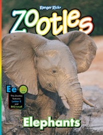 Zootles Elephants