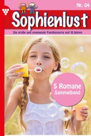 5 Romane - Diverse Autoren