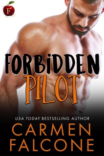 Forbidden Pilot by Carmen Falcone