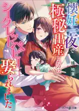 懐妊一夜で極秘出産したのに、シークレットベビーごと娶られました