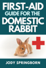 Jody Springborn - First-Aid for the Domestic Rabbit artwork