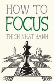 How to Focus - Thích Nhất Hạnh & Jason DeAntonis