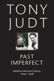 Past Imperfect - Tony Judt