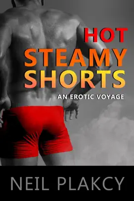 Read: Hot Steamy Shorts: Book An Erotic Voyage