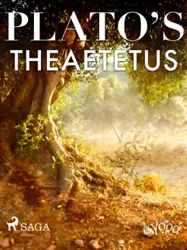 Read: Plato's Theaetetus Book