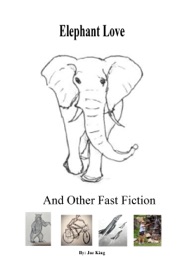 Elephant Love and Other Fast Fiction - Joe King