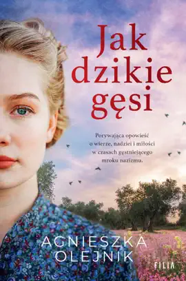 Read: Book Jak dzikie gęsi