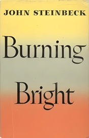 Burning Bright - Tracy Chevalier