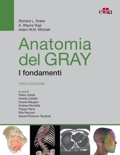 Anatomia del Gray. I fondamenti by Richard L. Drake, A. Wayne Vogl & Adam W. Mitchell