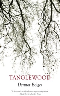 Tanglewood by Dermot Bolger