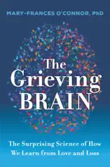 The Grieving Brain