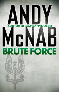 Brute Force by Andy McNab