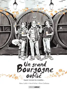 Read: Un Book Grand Bourgogne Oublié - Tome 2
