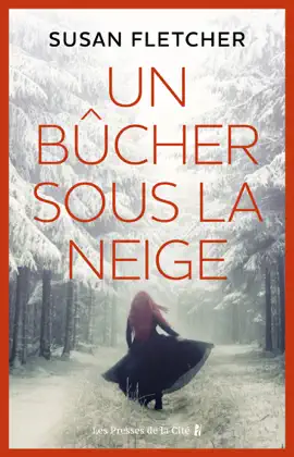 Un bûcher sous la neige