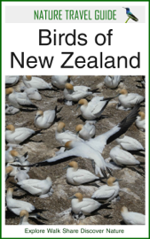Birds of New Zealand