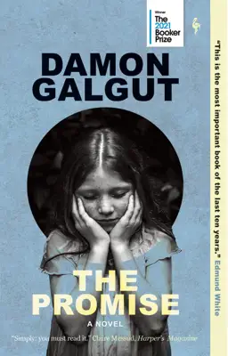 The Promise by Damon Galgut book