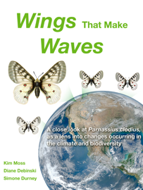 Wings That Make Waves