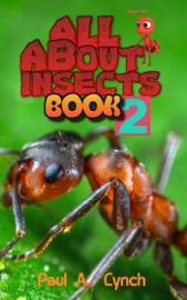 Book ALL About Insects - Paul A. Lynch