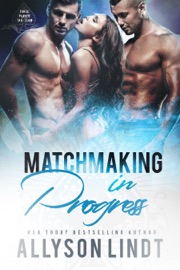Matchmaking in Progress - Allyson Lindt