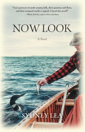 Now Look - Sydney Lea