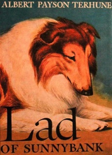 Lad of Sunnybank by Albert Payson Terhune