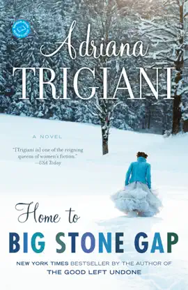 Read: Home to Big Stone Gap Book
