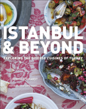 Istanbul &amp; Beyond - Robyn Eckhardt Cover Art