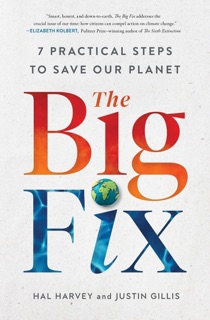 The Big Fix by Hal Harvey & Justin Gillis