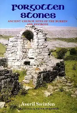 Read: Book Forgotten Stones