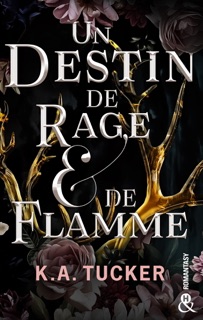Un destin de rage & de flamme by K.A. Tucker