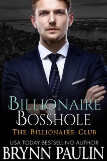 Billionaire Bosshole by Brynn Paulin