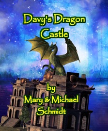 Davy's Dragon Castle - Mary L. Schmidt
