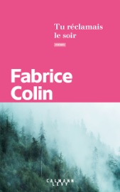 Tu réclamais le soir - Fabrice Colin