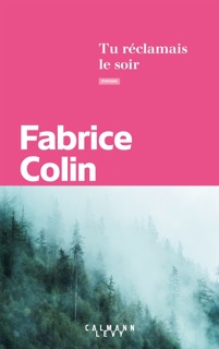 Tu réclamais le soir by Fabrice Colin