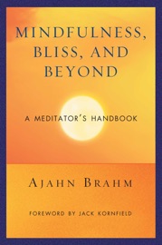 Mindfulness, Bliss, and Beyond - Brahm & Jack Kornfield