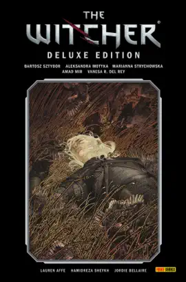 Read: The Witcher Book Deluxe-Edition, Band 2